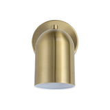 Vorona Wall Sconce
