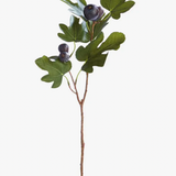 Fig Stem - 46"