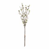 Budding Branches