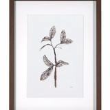 Olive Branch I and Olive Branch II Art