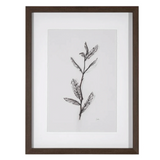 Olive Branch I and Olive Branch II Art