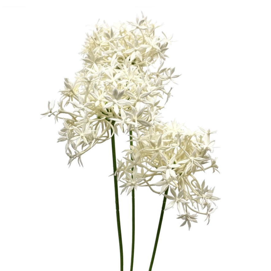 Allium Spray of Flowers in White