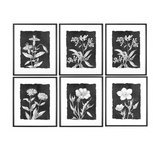 Black & White Botanical print