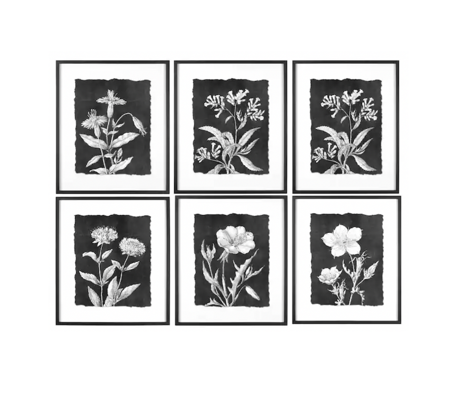 Black & White Botanical print